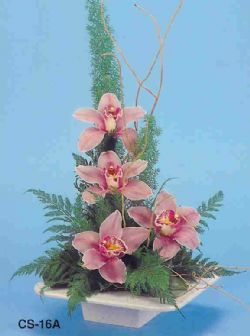  Trabzon iek siparii vermek  vazoda 4 adet orkide 