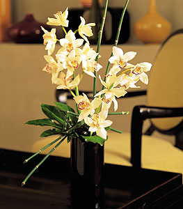  Trabzon iek online iek siparii  cam yada mika vazo ierisinde dal orkide