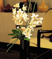  Trabzon çiçek online çiçek siparişi  cam yada mika vazo içerisinde dal orkide