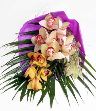  Trabzon yurtiçi ve yurtdışı çiçek siparişi  1 adet dal orkide buket halinde sunulmakta