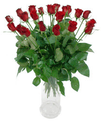  Trabzon çiçek siparişi vermek  11 adet kimizi gülün ihtisami cam yada mika vazo modeli