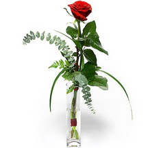  Trabzon çiçek yolla , çiçek gönder , çiçekçi   Sana deger veriyorum bir adet gül cam yada mika vazoda