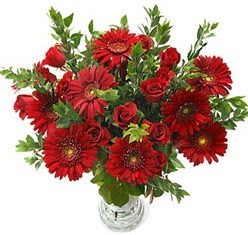 5 adet kirmizi gül 5 adet gerbera aranjmani  Trabzon uluslararası çiçek gönderme 