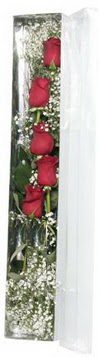  Trabzon anneler günü çiçek yolla   5 adet gülden kutu güller