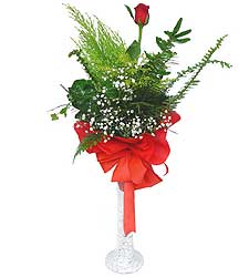  Trabzon İnternetten çiçek siparişi  Cam vazoda masum tek gül