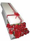  Trabzon çiçek siparişi vermek  11 adet 1.kalite magnum güller