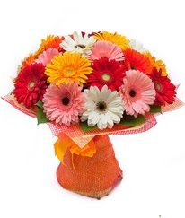 Renkli gerbera buketi  Trabzon İnternetten çiçek siparişi 