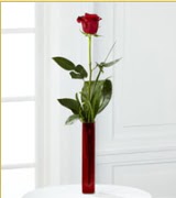 Vazo içerisinde 1 adet kırmızı gül  Trabzon çiçek servisi , çiçekçi adresleri 