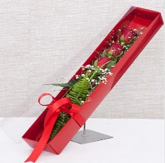 Kutu içerisinde 3 adet kırmızı gül  Trabzon kaliteli taze ve ucuz çiçekler 