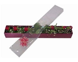  Trabzon İnternetten çiçek siparişi   6 adet kirmizi gül kutu içinde