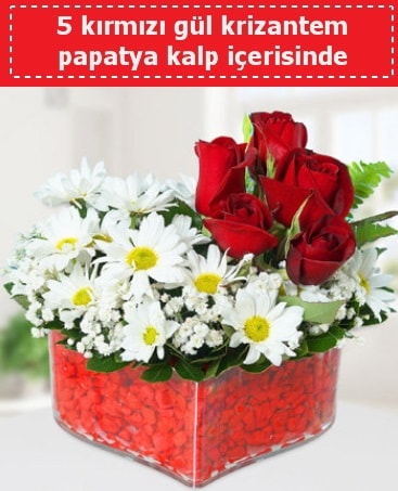 mika kalp içerisinde 5 kırmızı gül papatya  Trabzon internetten çiçek siparişi 