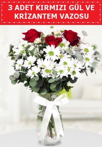 3 kırmızı gül ve camda krizantem çiçekleri  Trabzon internetten çiçek siparişi 